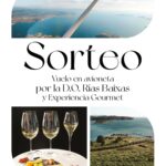 Dinámica D.O. Rías Baixas: Sorteo Vuelo en Avioneta y Enoturismo