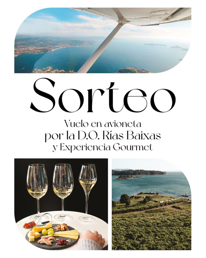 Dinámica D.O. Rías Baixas: Sorteo Vuelo en Avioneta y Enoturismo